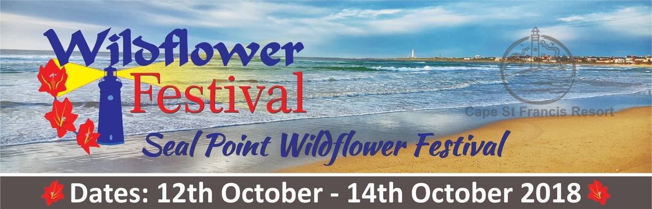 Wildflower-festival-header Wildflower-festival-header