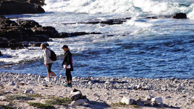 cape-st-francis-and-chokka-south-africas-main-spawning-grounds cape-st-francis-and-chokka-south-africas-main-spawning-grounds