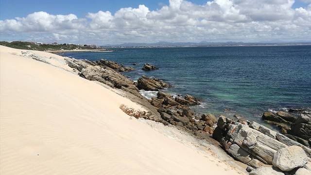 why-cape-st-francis-supports-rich-marine-life why-cape-st-francis-supports-rich-marine-life