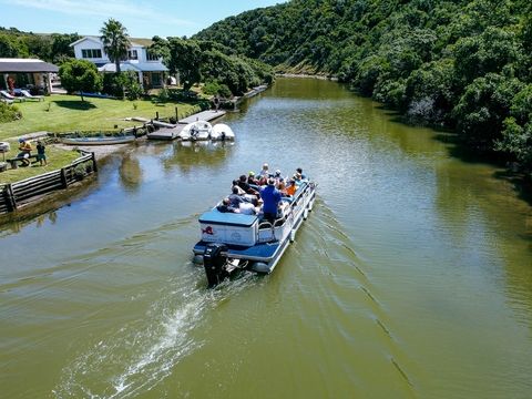 river cruise birds eye view