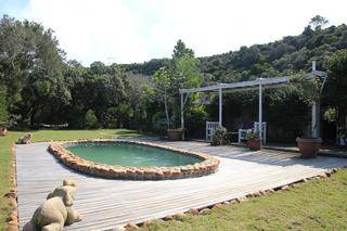 swimming pool at the farm