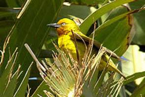 activitiesnature02