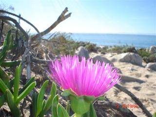 coastalwalk