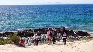 shark point nature reserve