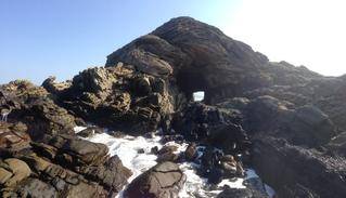 excursions around cape st francis resort 4