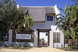 hibiscus health and beauty studio cape st francis