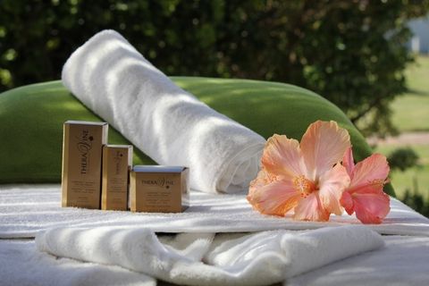 Hibiscus Health and Beauty StudioNovember 11, 2024