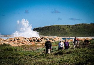 chokka trail activity at cape st francis resort007